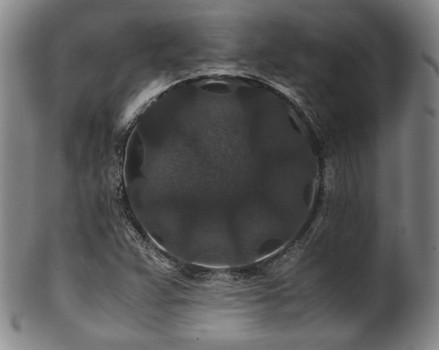 X0000101711359200807101554