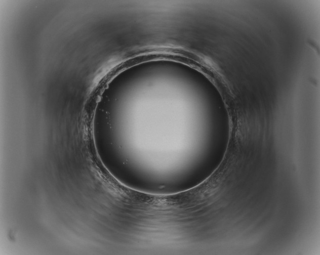 X0000101711360200807101554