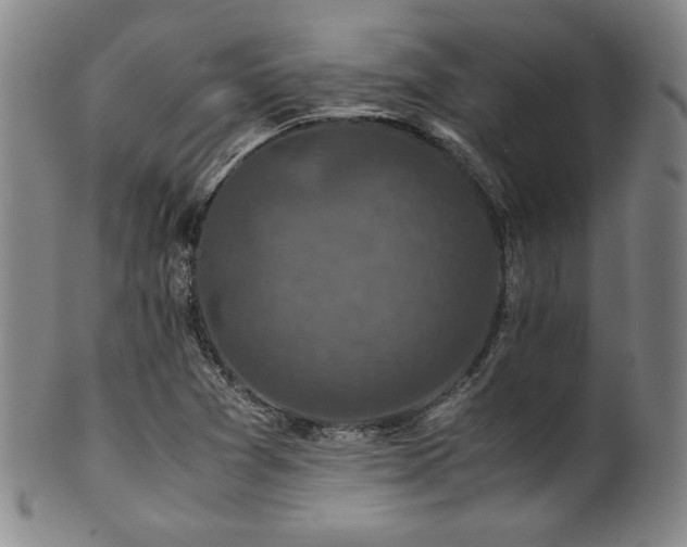 X0000101711361200807101554