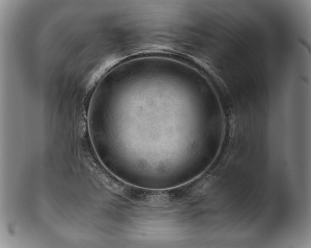X0000101711363200807101554