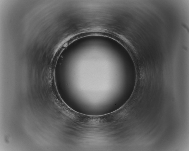 X0000101711364200807101554
