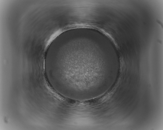 X0000101711365200807101554