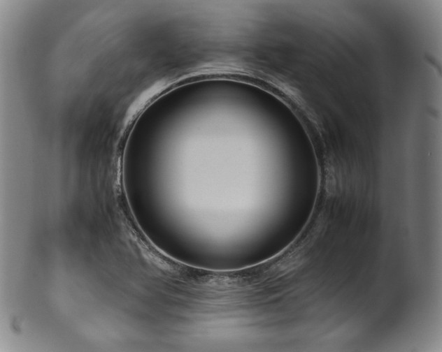 X0000101711366200807101554