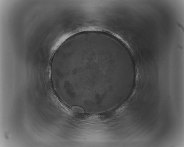 X0000101711367200807101554