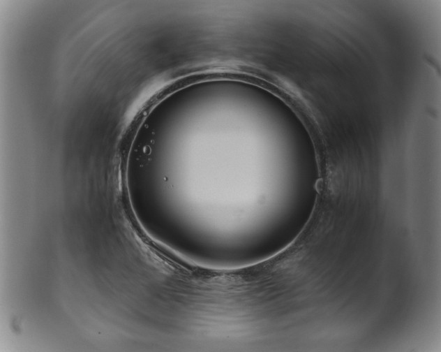 X0000101711368200807101554