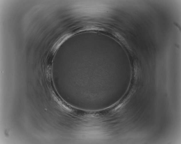 X0000101711369200807101554