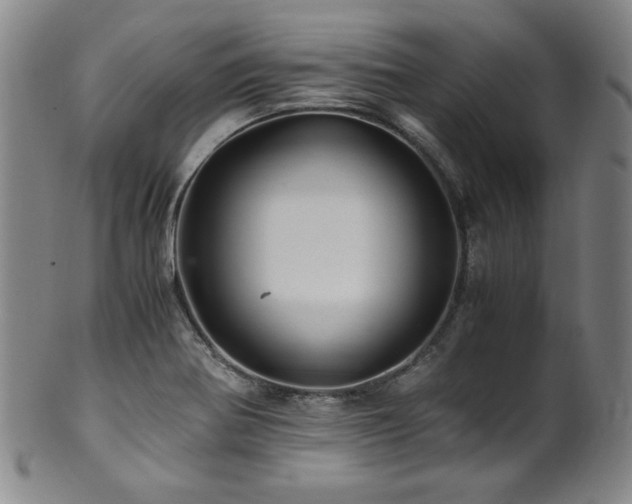 X0000101711370200807101554