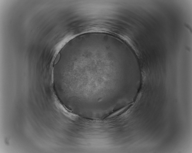 X0000101711371200807101554