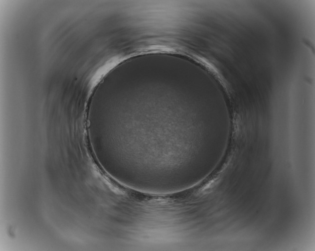 X0000101711373200807101554