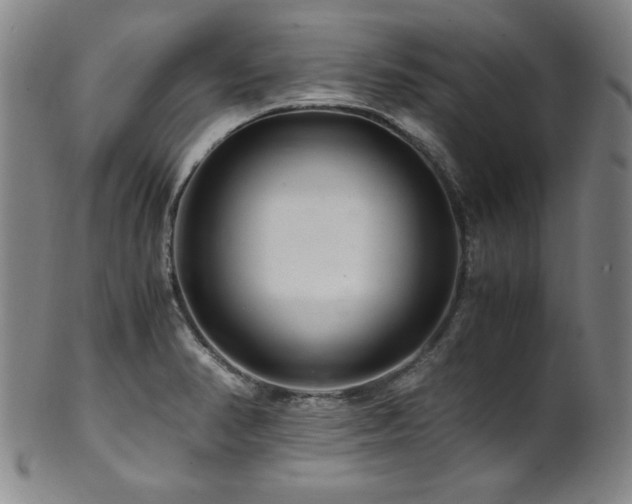 X0000101711374200807101554