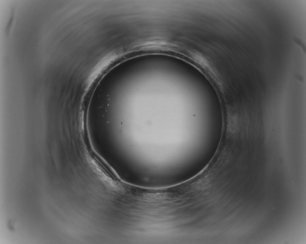 X0000101711376200807101554