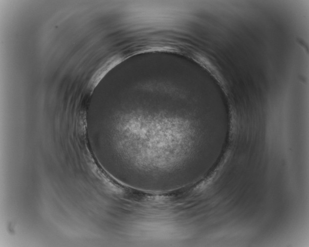 X0000101711377200807101554