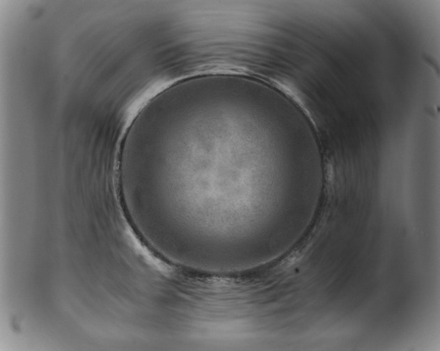 X0000101711379200807101554