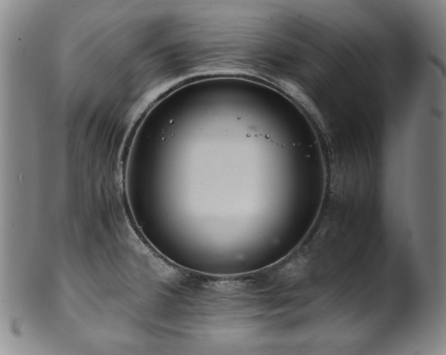 X0000101711380200807101554