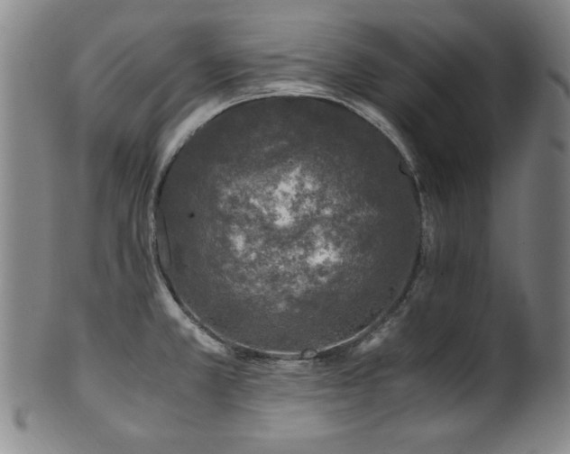 X0000101711381200807101554