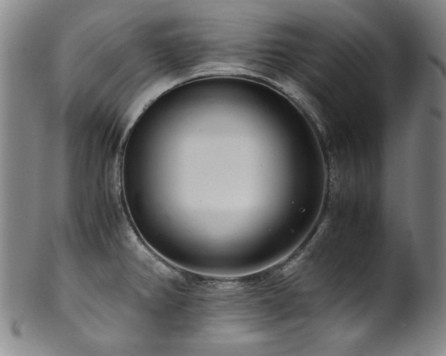 X0000101711382200807101554