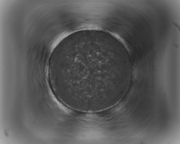 X0000101711383200807101554