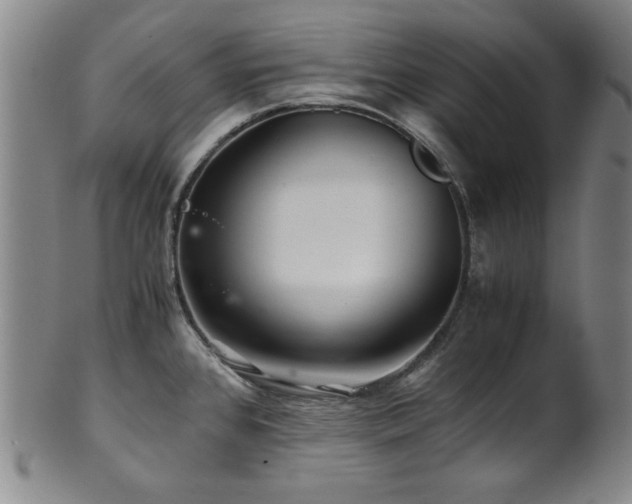 X0000101711384200807101554