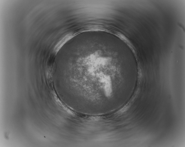 X0000101711385200807101554