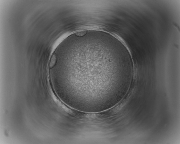 X0000101711389200807101554