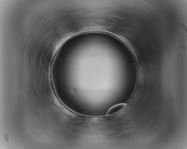 X0000101711390200807101554