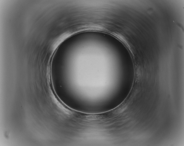 X0000101711391200807101554