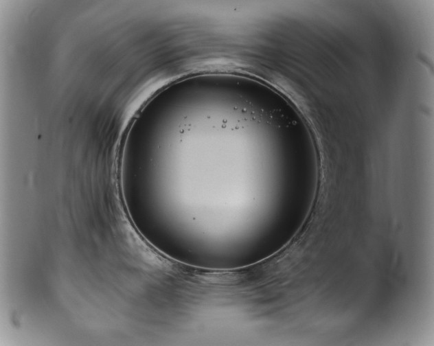 X0000101711392200807101554