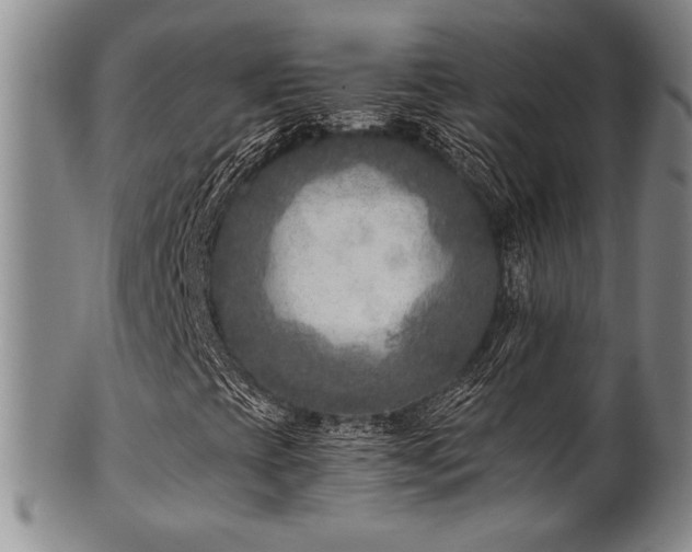 X0000101711393200807101553