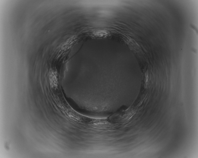 X0000101711394200807101553