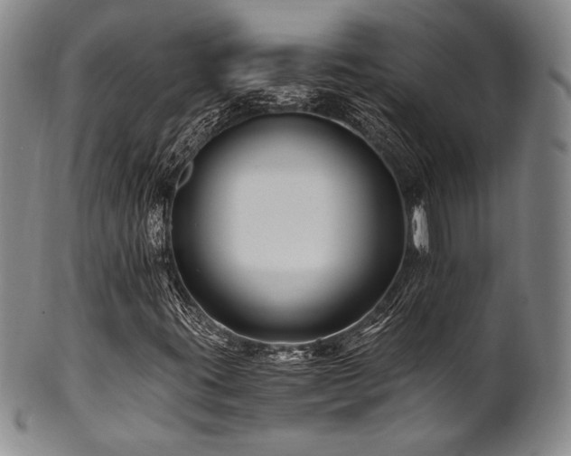 X0000101711395200807101553