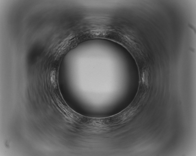 X0000101711396200807101553