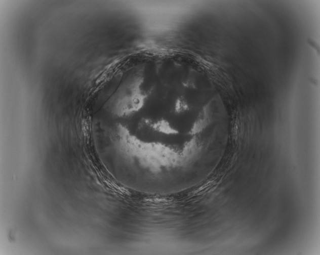 X0000101711397200807101553