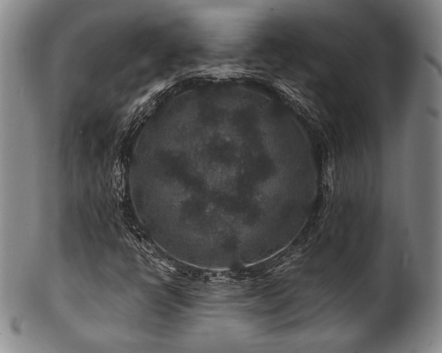 X0000101711398200807101553