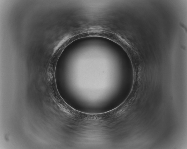 X0000101711400200807101553
