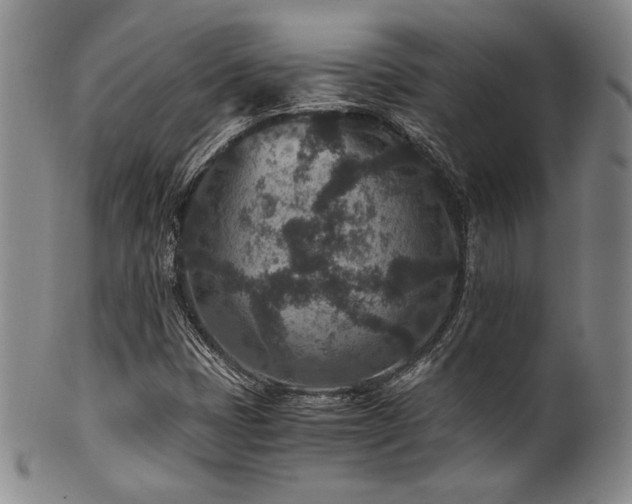 X0000101711401200807101553