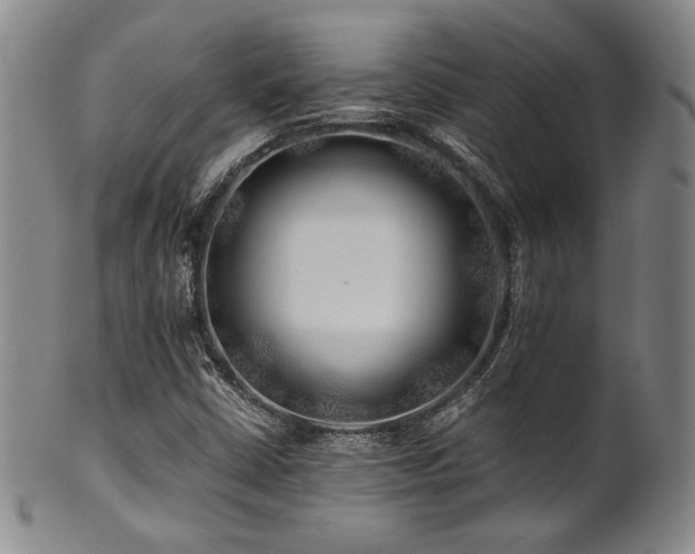 X0000101711402200807101553
