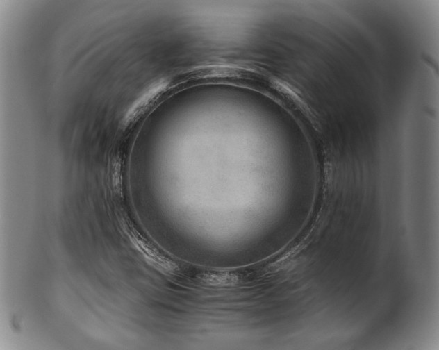 X0000101711403200807101553