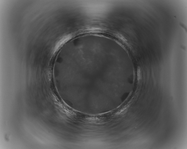 X0000101711405200807101553