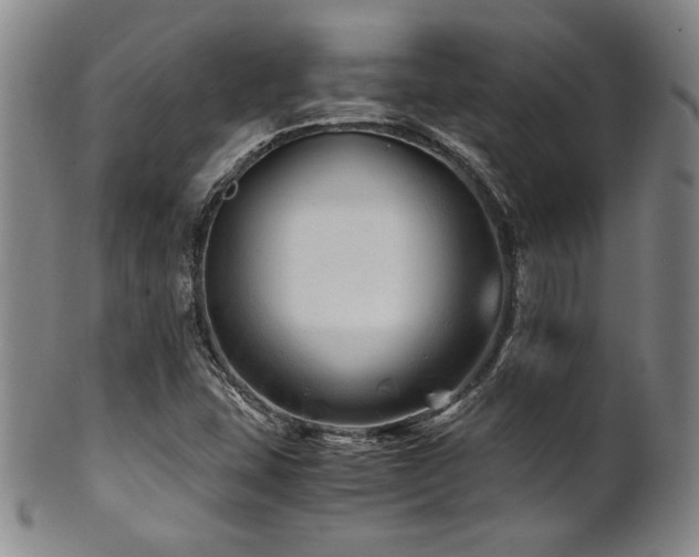 X0000101711407200807101553