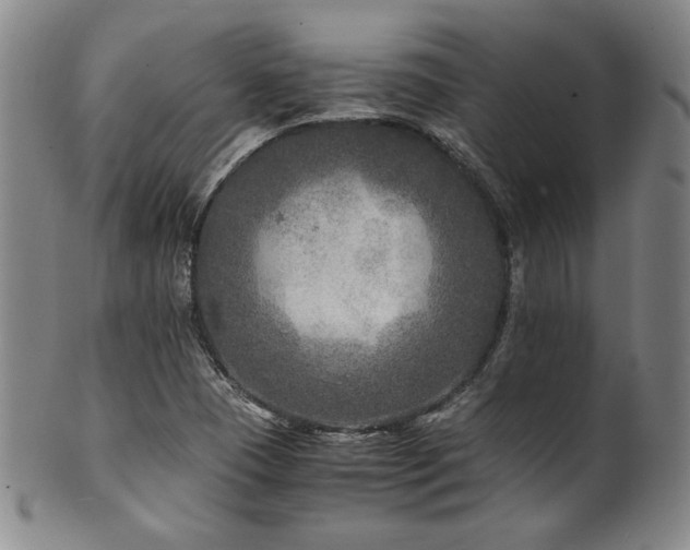 X0000101711409200807101553