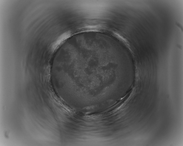 X0000101711411200807101553