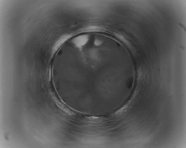 X0000101711413200807101553