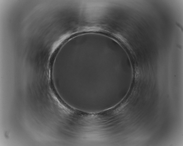 X0000101711414200807101553