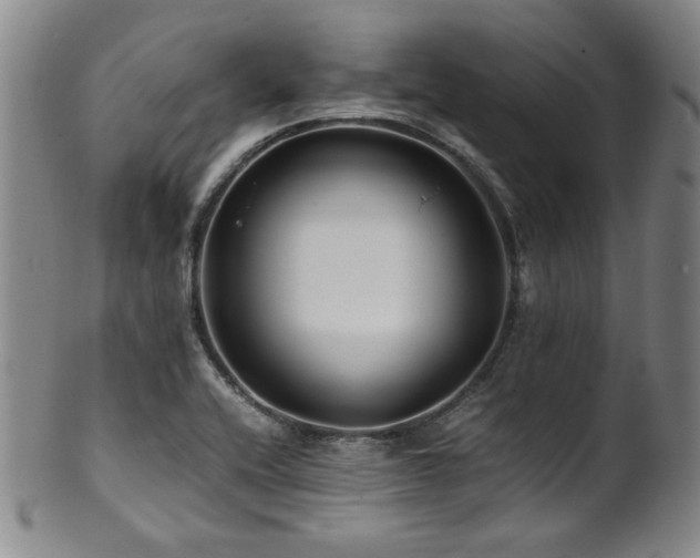 X0000101711416200807101553