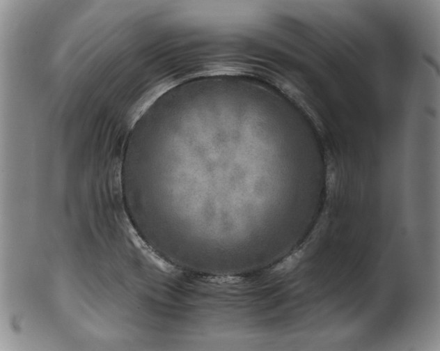 X0000101711417200807101553
