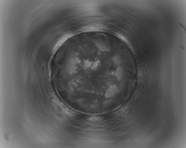 X0000101711419200807101553