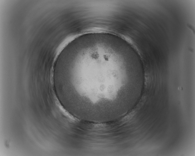 X0000101711421200807101553
