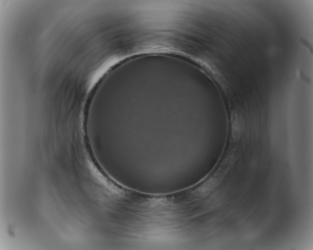 X0000101711422200807101553