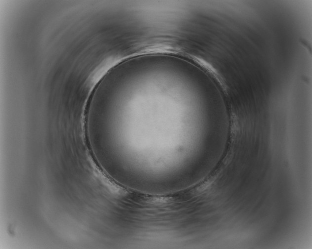 X0000101711423200807101553