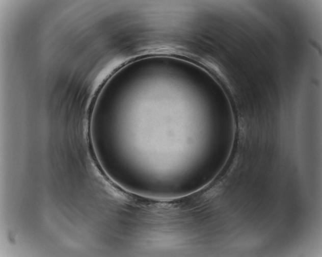 X0000101711424200807101553